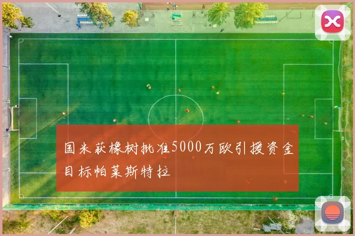 国米获橡树批准5000万欧引援资金目标帕莱斯特拉