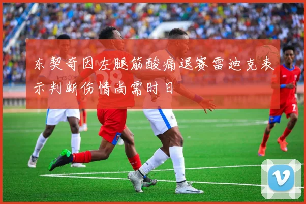 东契奇因左腿筋酸痛退赛雷迪克表示判断伤情尚需时日